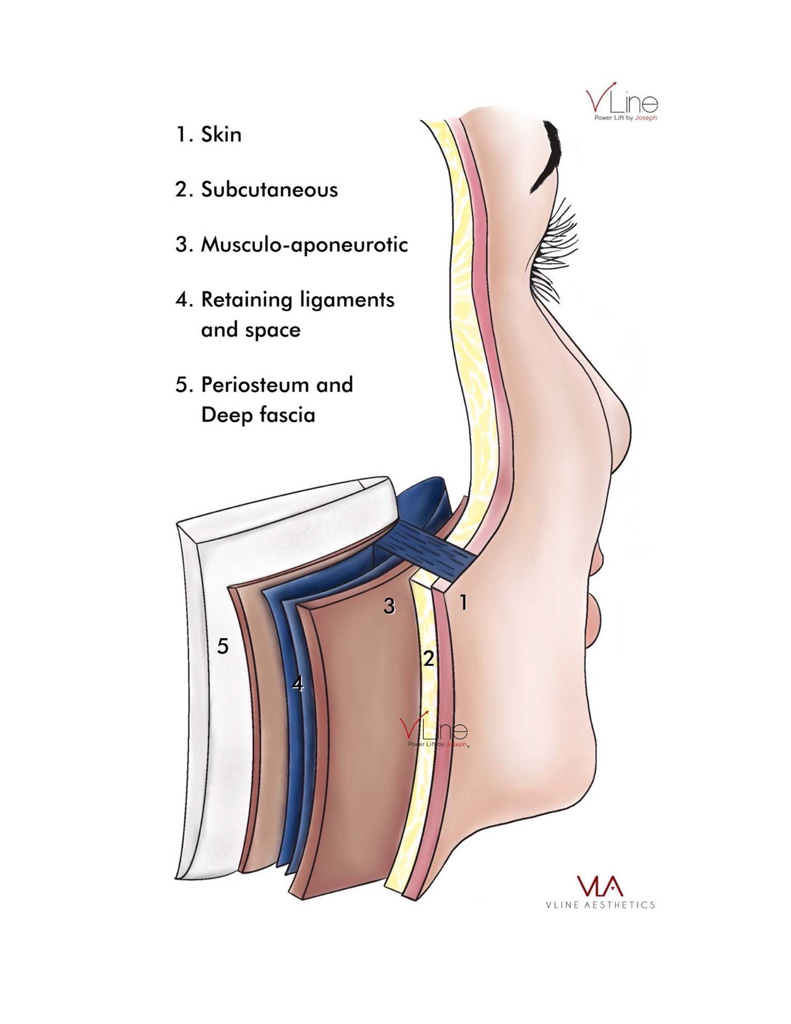 Anatomy book 1 - 04.11.2023_Page_02