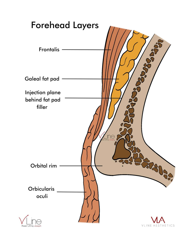 Anatomy book 1 - 04.11.2023_Page_03