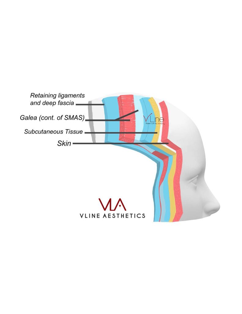 Anatomy book 1 - 04.11.2023_Page_04