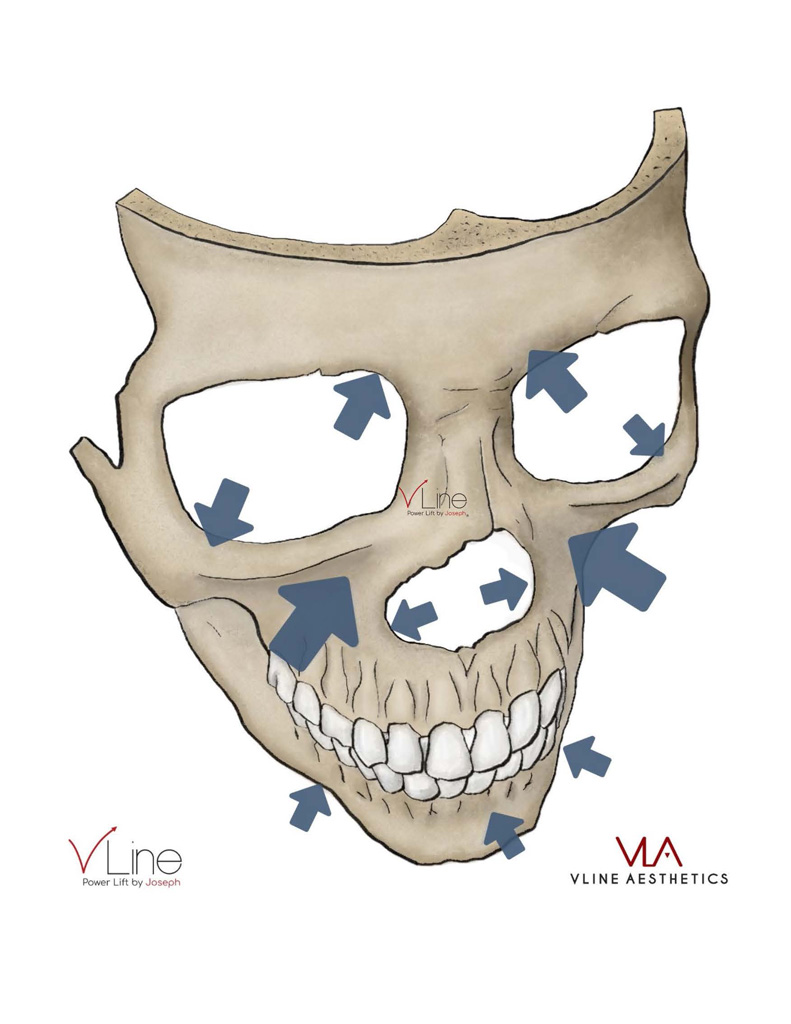 Anatomy book 1 - 04.11.2023_Page_06