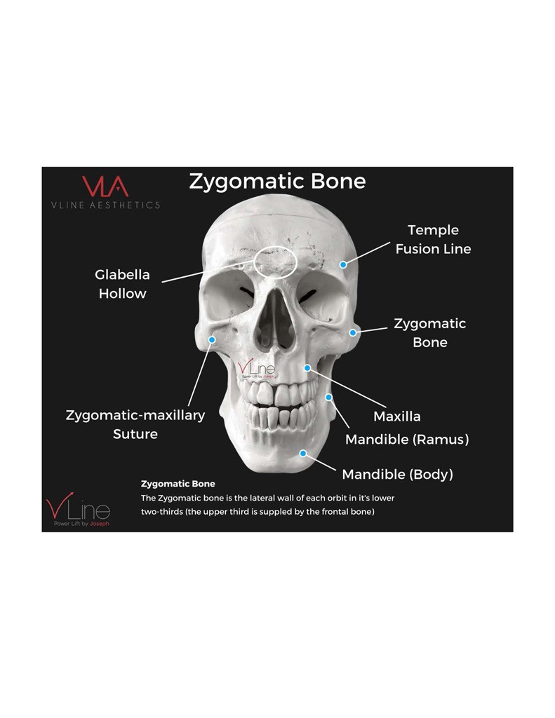 Anatomy book 1 - 04.11.2023_Page_08