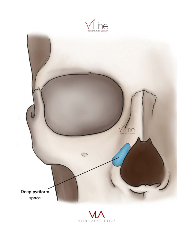 Anatomy book 1 - 04.11.2023_Page_09