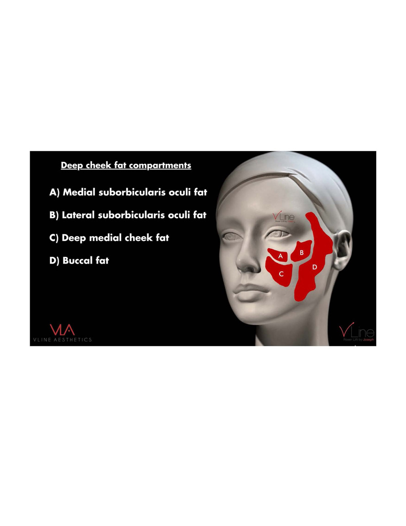 Anatomy book 1 - 04.11.2023_Page_10