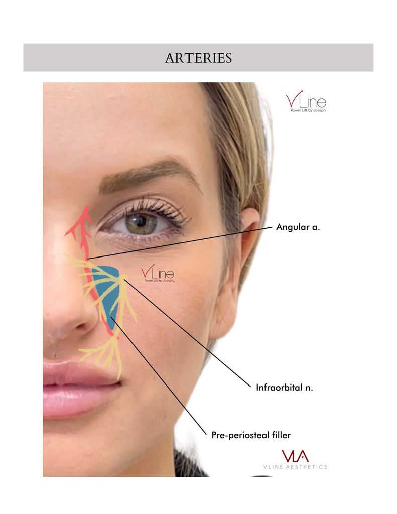 Anatomy book 1 - 04.11.2023_Page_16