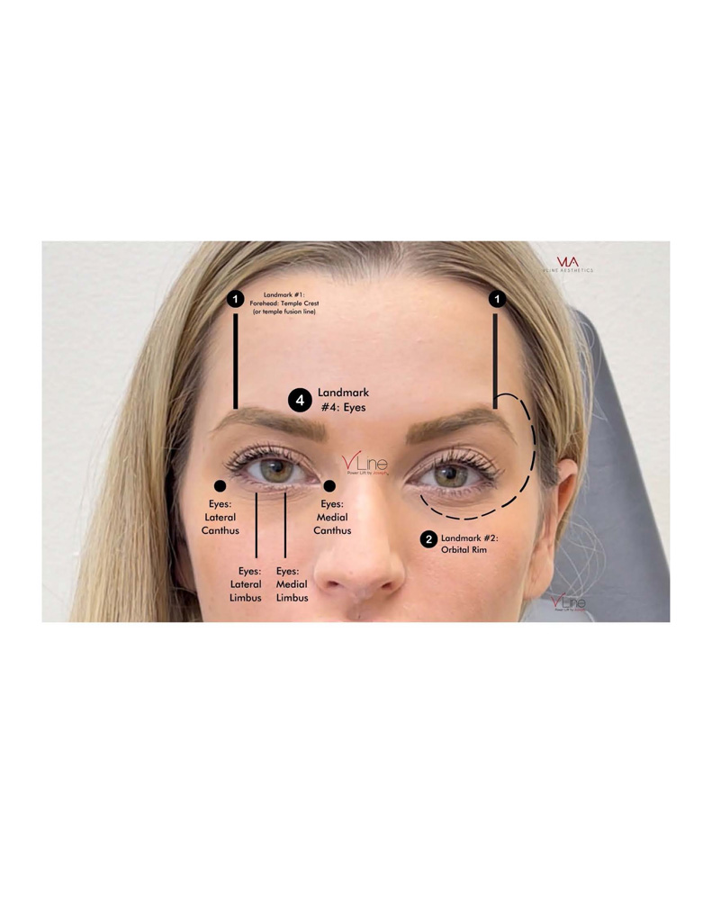 Anatomy book 1 - 04.11.2023_Page_22