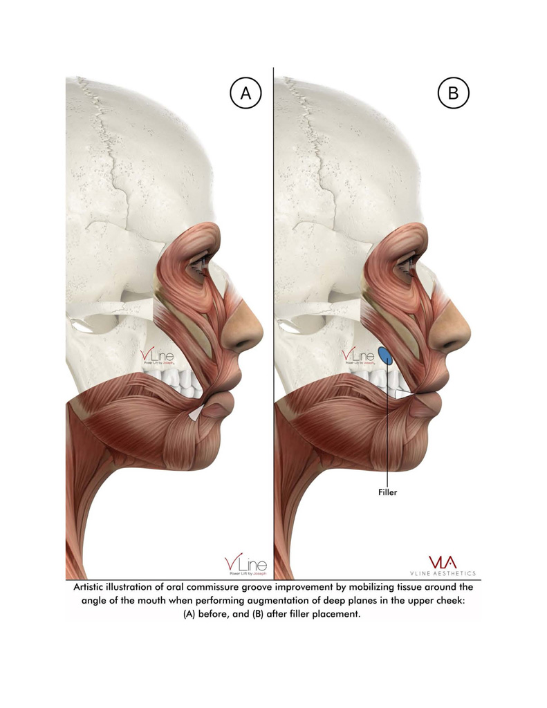 Anatomy book 1 - 04.11.2023_Page_29