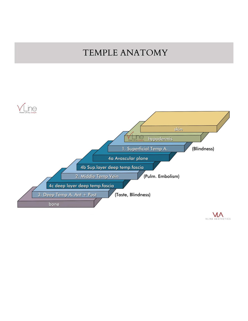 Anatomy book 1 - 04.11.2023_Page_30