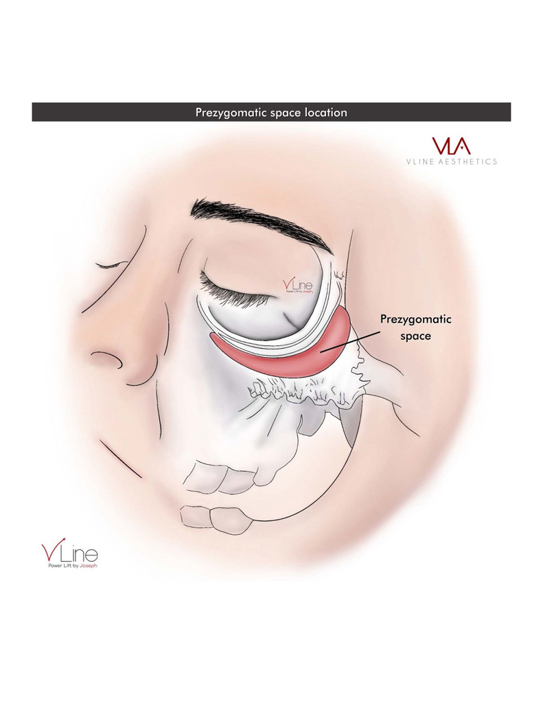 Anatomy book 1 - 04.11.2023_Page_42